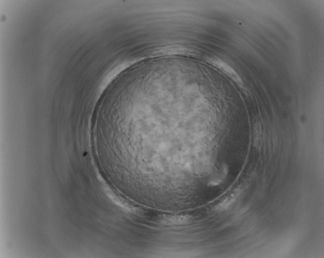 X0000075861039200609221750