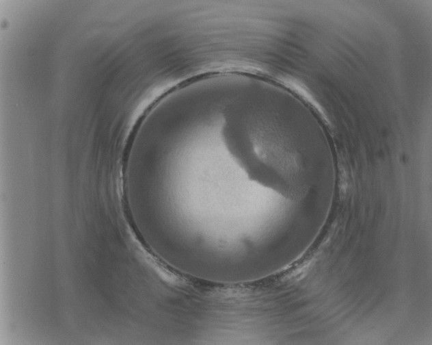 X0000075861040200609221750