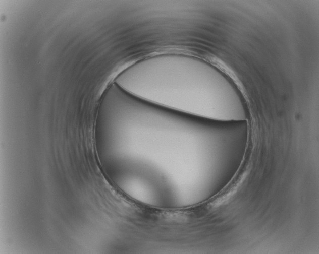 X0000075861041200609221750