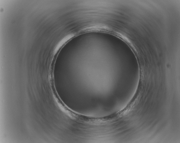 X0000075861042200609221750