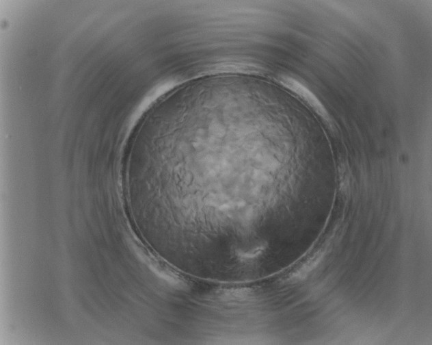 X0000075861043200609221750