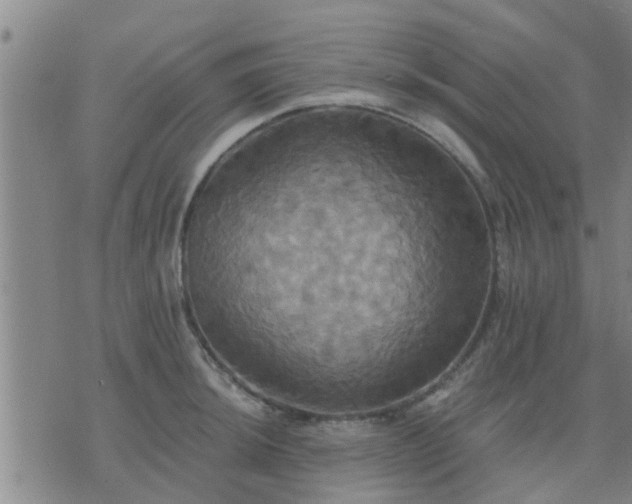 X0000075861044200609221750