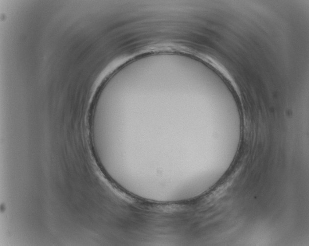 X0000075861045200609221750