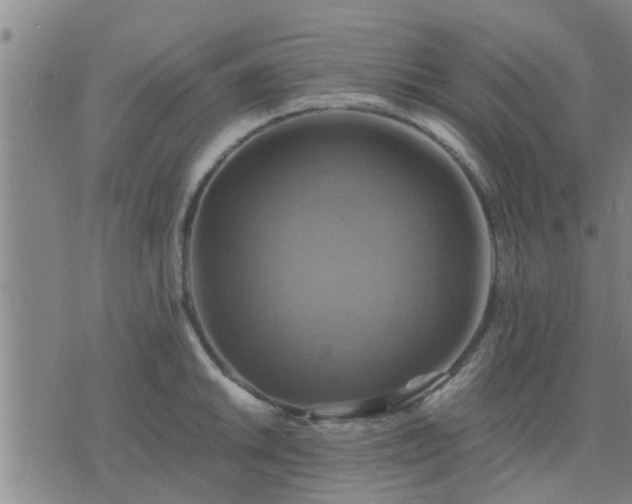 X0000075861046200609221750