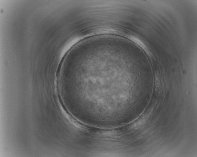 X0000075861047200609221750