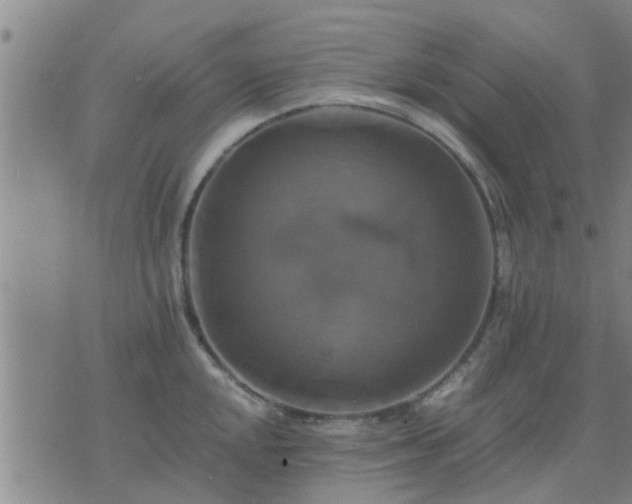 X0000075861048200609221751