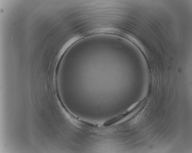 X0000075861050200609221751