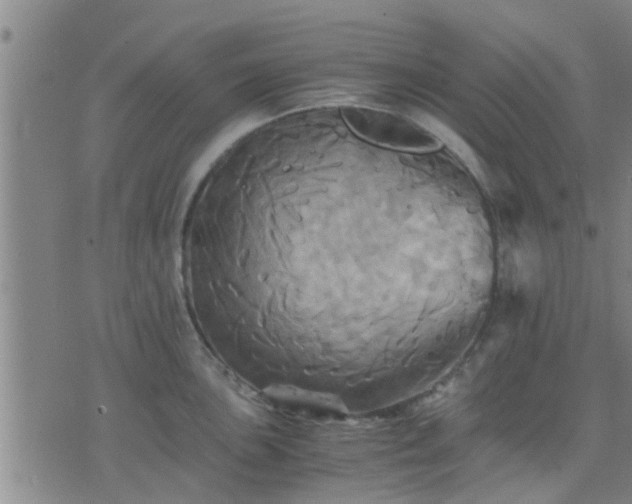 X0000075861051200609221751