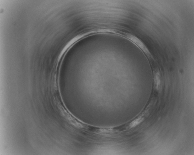 X0000075861052200609221751