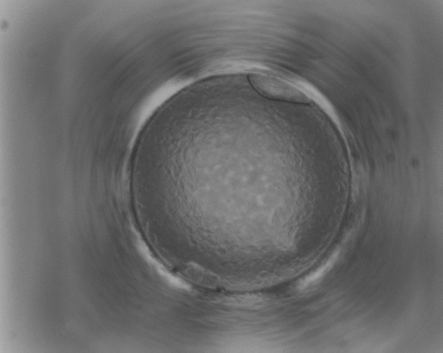 X0000075861053200609221751