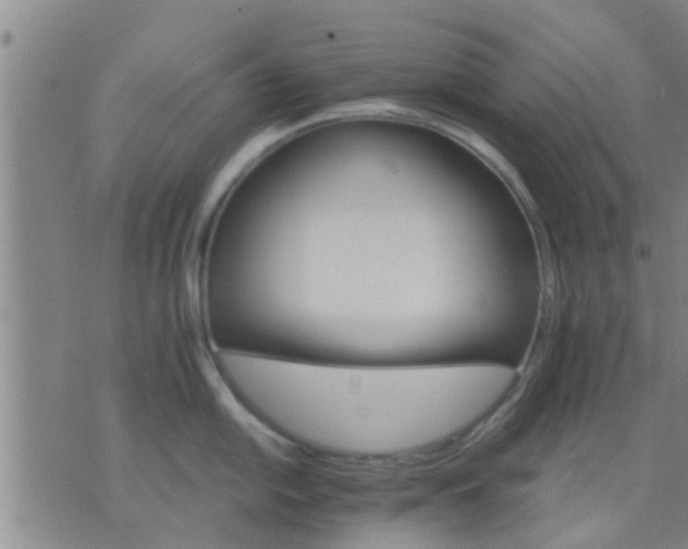 X0000075861054200609221751