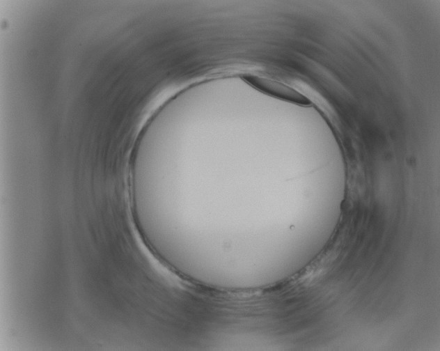 X0000075861055200609221751