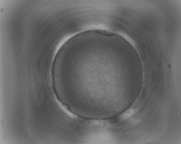 X0000075861056200609221751