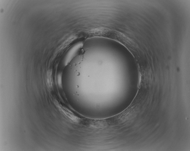 X0000075861058200609221750