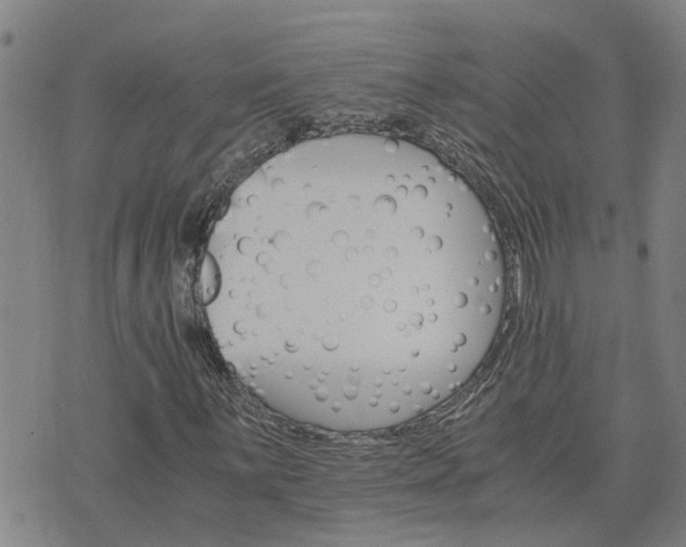 X0000075861059200609221750