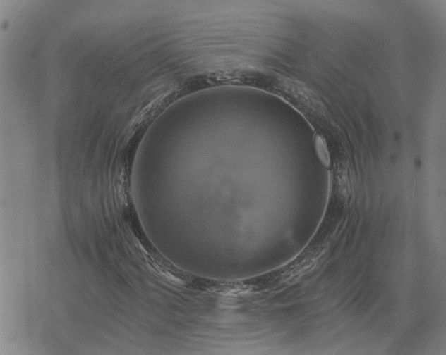 X0000075861060200609221750