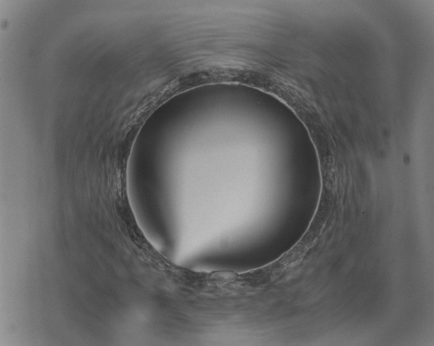 X0000075861061200609221750