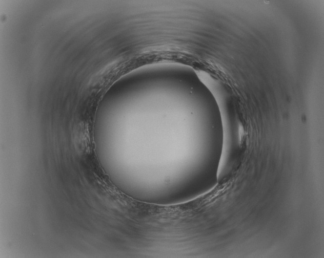 X0000075861062200609221750