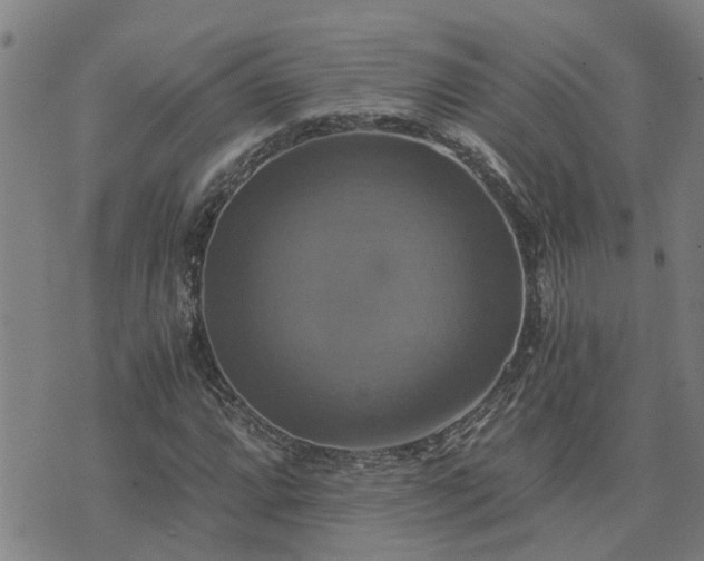 X0000075861064200609221750