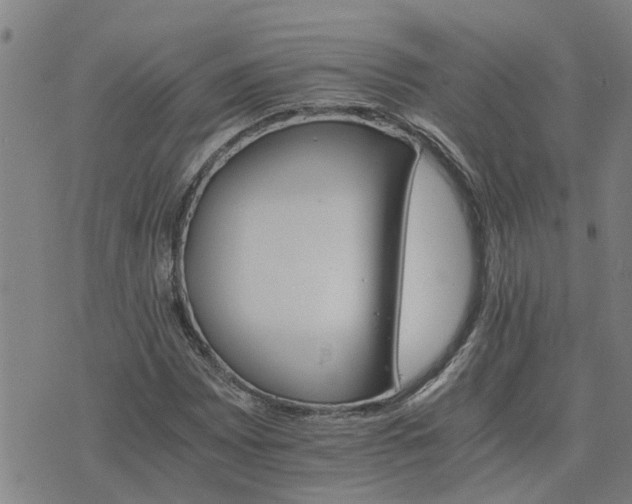 X0000075861065200609221750