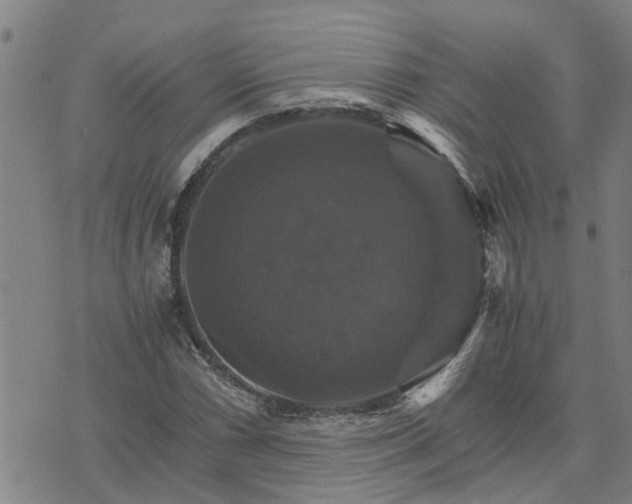 X0000075861066200609221750