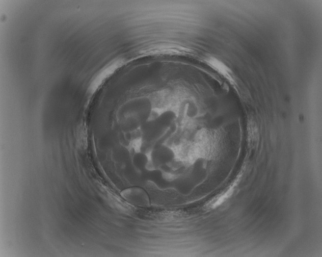 X0000075861067200609221750