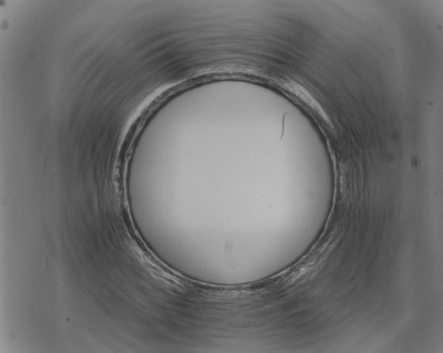 X0000075861068200609221750