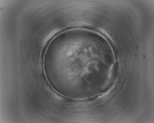 X0000075861071200609221750