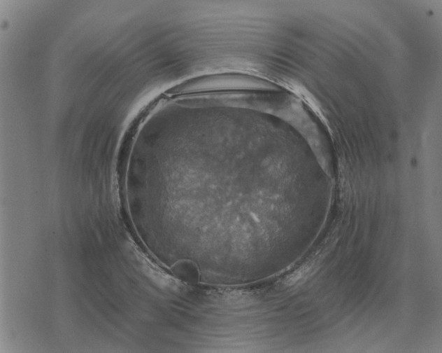 X0000075861072200609221750