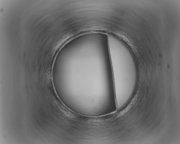 X0000075861073200609221750