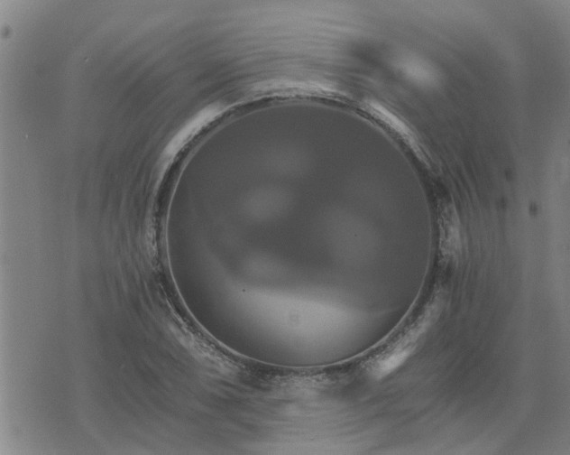 X0000075861074200609221750