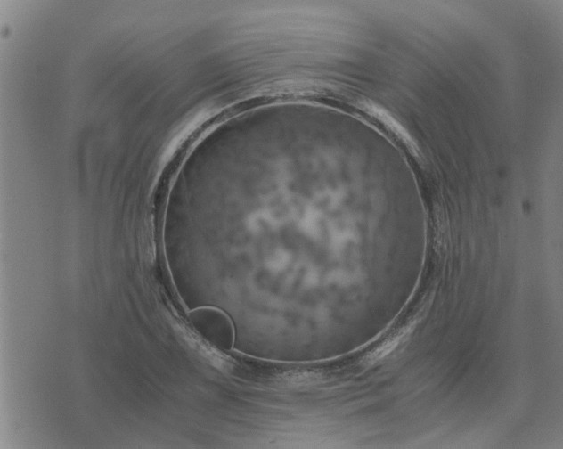 X0000075861075200609221750