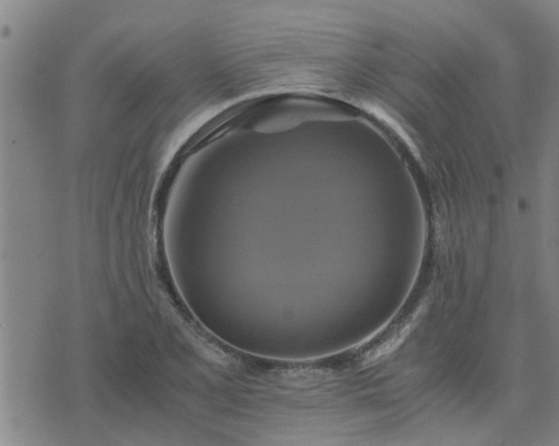 X0000075861077200609221750