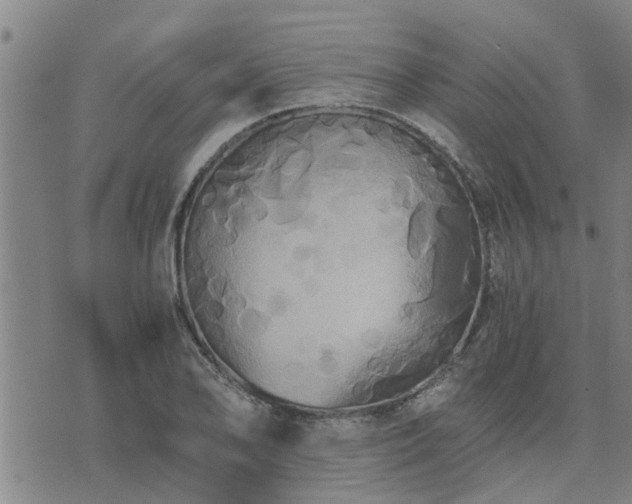 X0000075861078200609221750