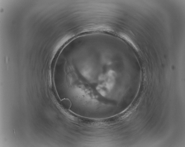 X0000075861079200609221750