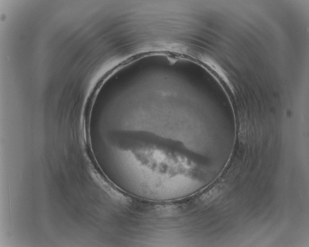 X0000075861080200609221749