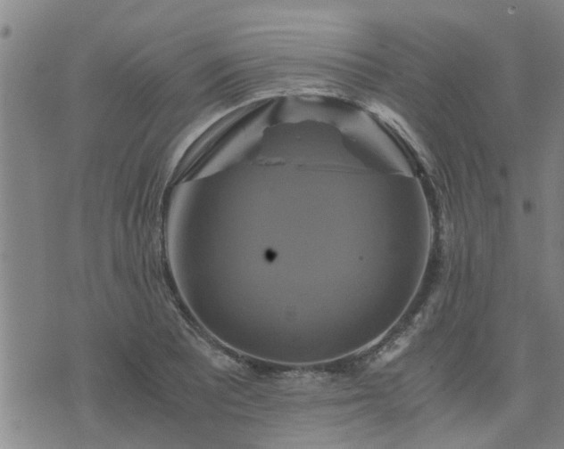 X0000075861081200609221749