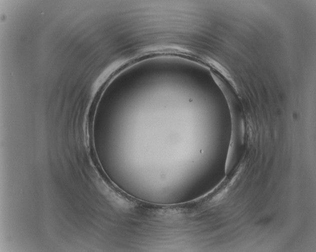 X0000075861082200609221749