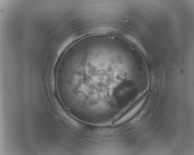 X0000075861083200609221749