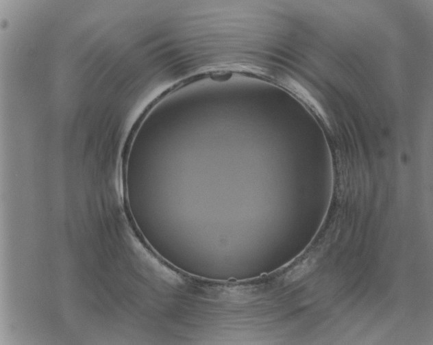 X0000075861084200609221749