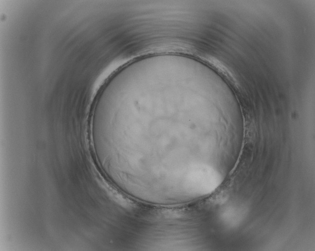 X0000075861086200609221749