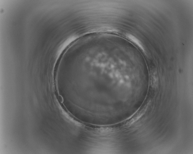 X0000075861087200609221749