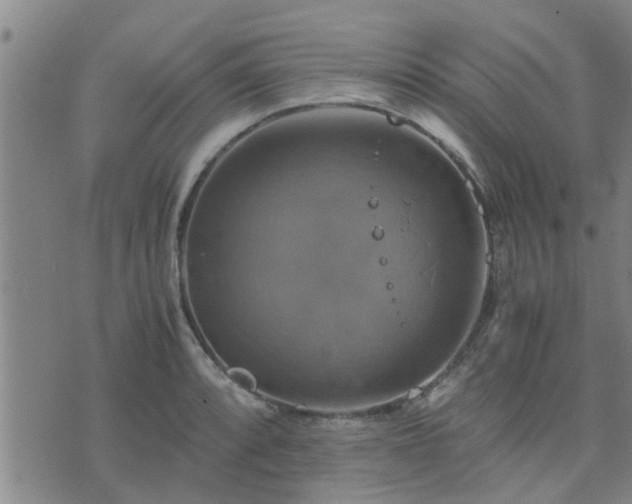 X0000075861088200609221749