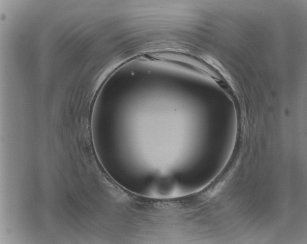 X0000075861089200609221749