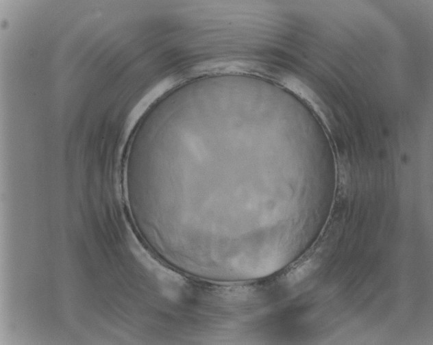 X0000075861090200609221749