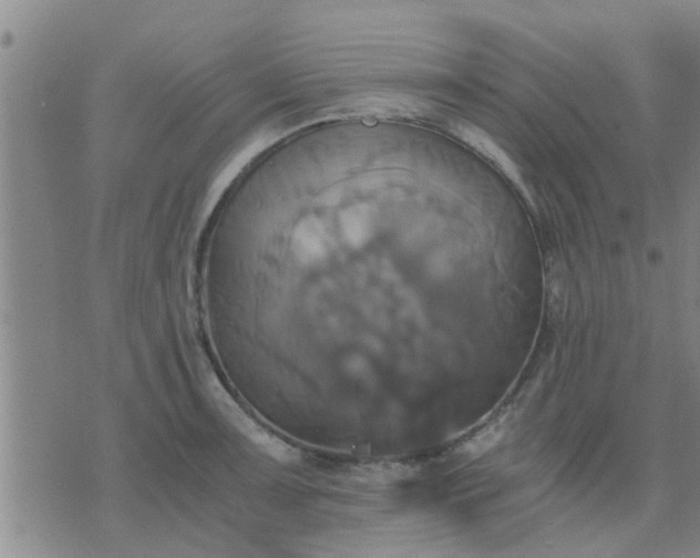 X0000075861091200609221749