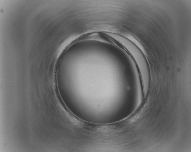 X0000075861093200609221749