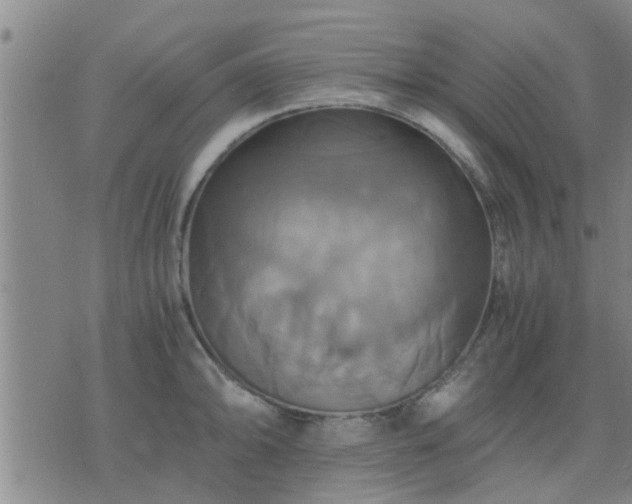 X0000075861094200609221749