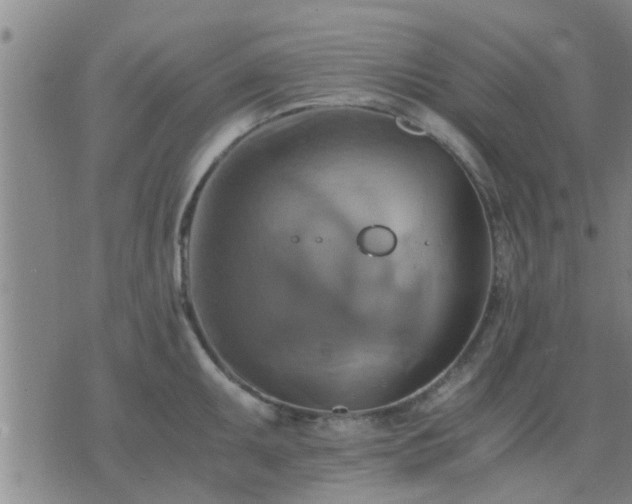 X0000075861095200609221749