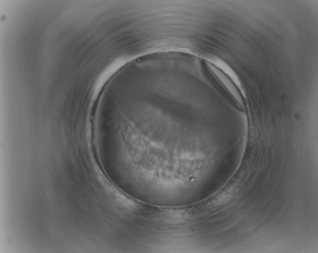 X0000075861096200609221749